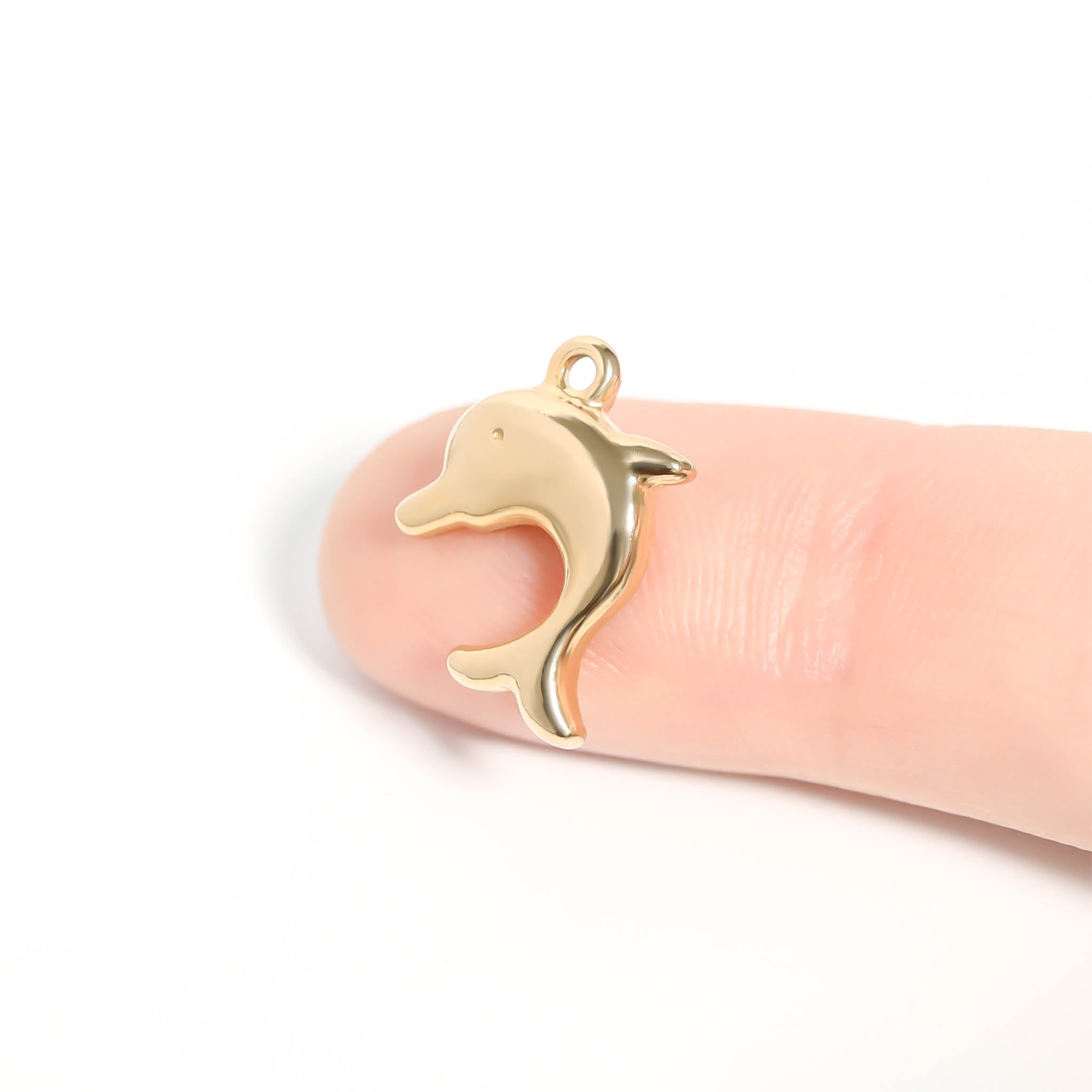 Dolphin Charm