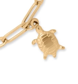Turtle Charm