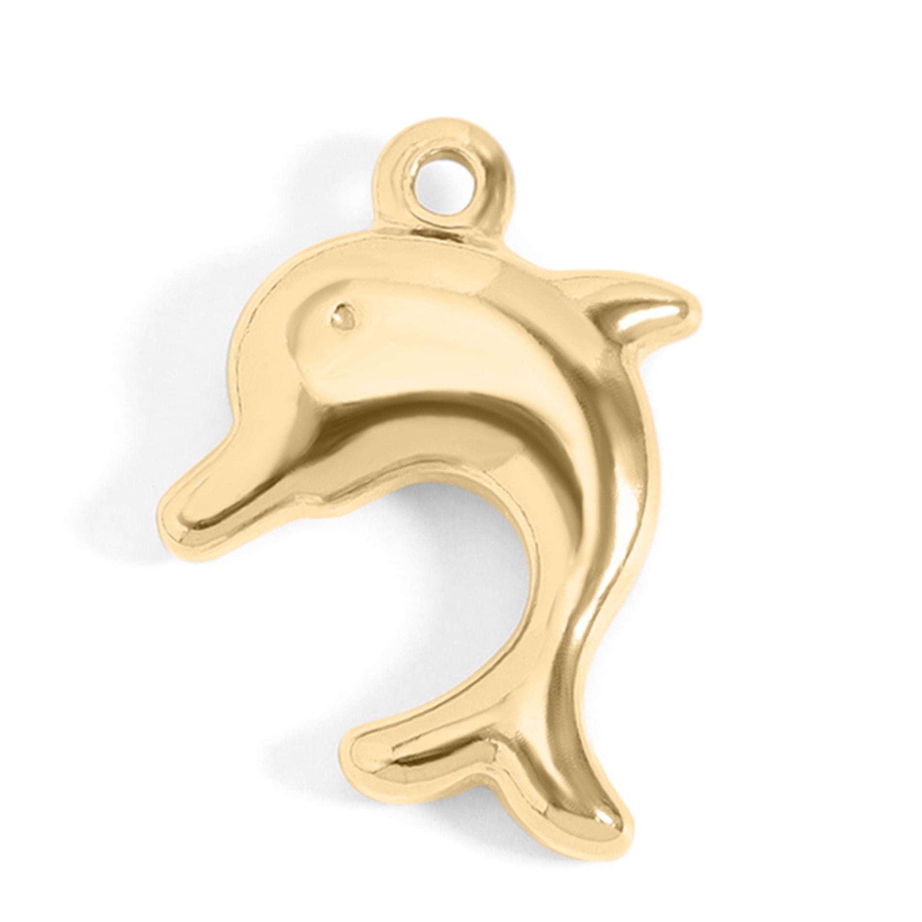 Dolphin Charm